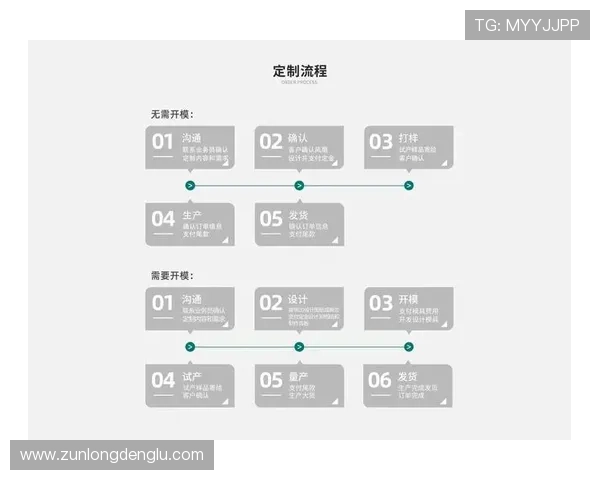 尊龙集团网页版官网登录入口的具体操作流程与注意事项